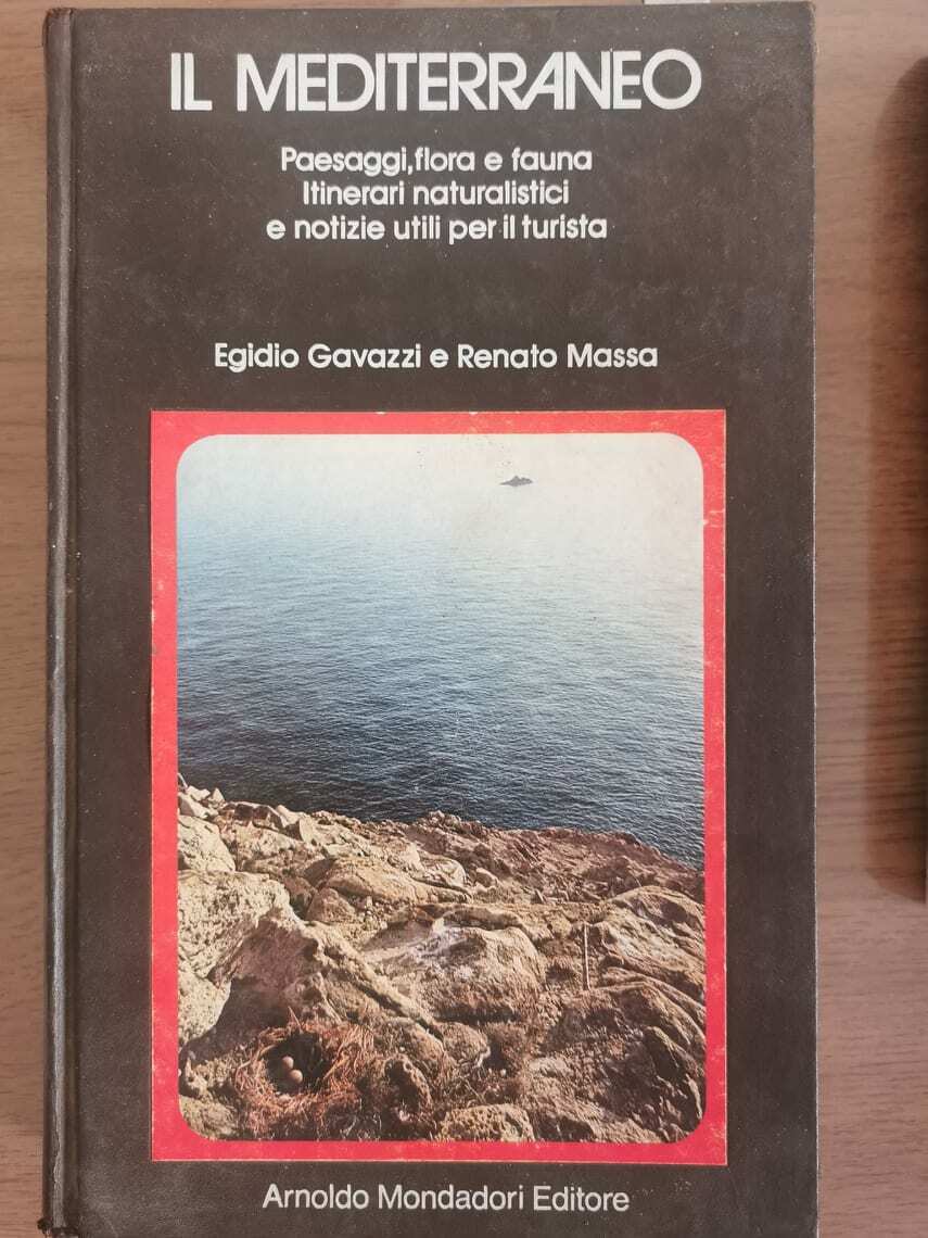 Il mediterraneo - Gavazzi/Massa - Mondadori - 1979 - AR