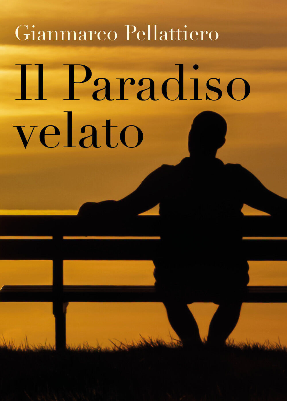 Il paradiso velato,  di Gianmarco Pellattiero,  2018,  Youcanprint