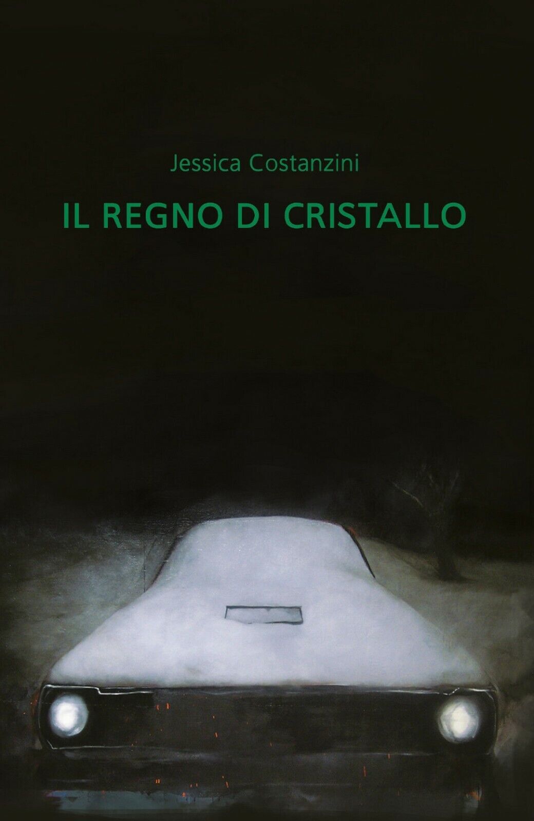 Il regno di cristallo  di Jessica Costanzini,  2019,  Youcanprint