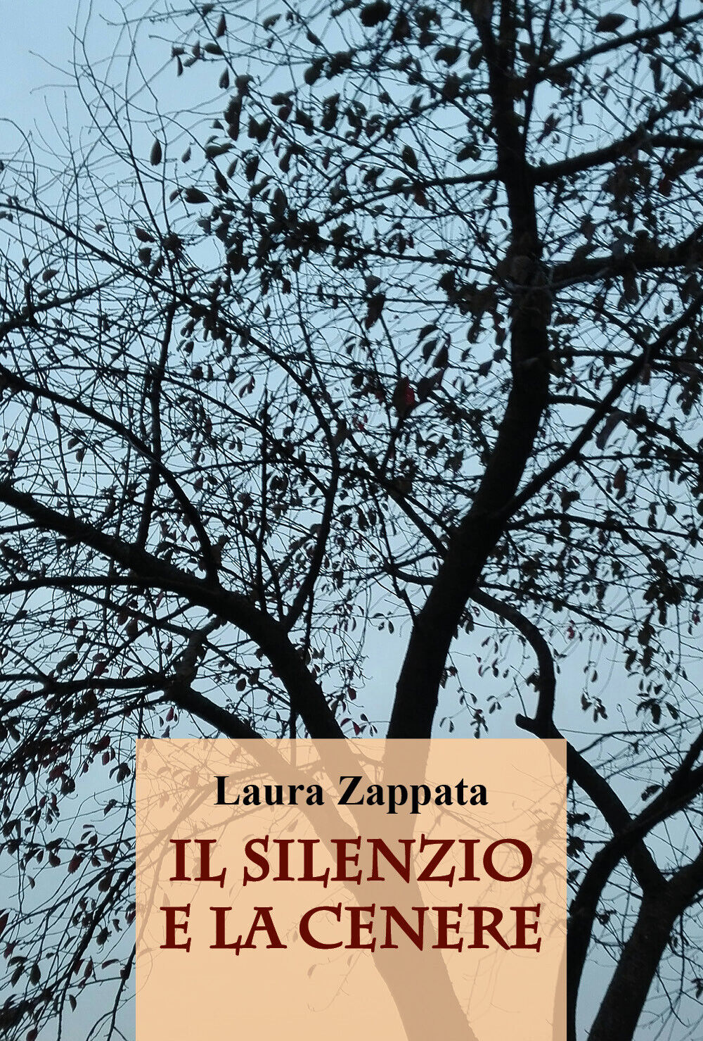 Il silenzio e la cenere di Laura Zappata,  2021,  Youcanprint