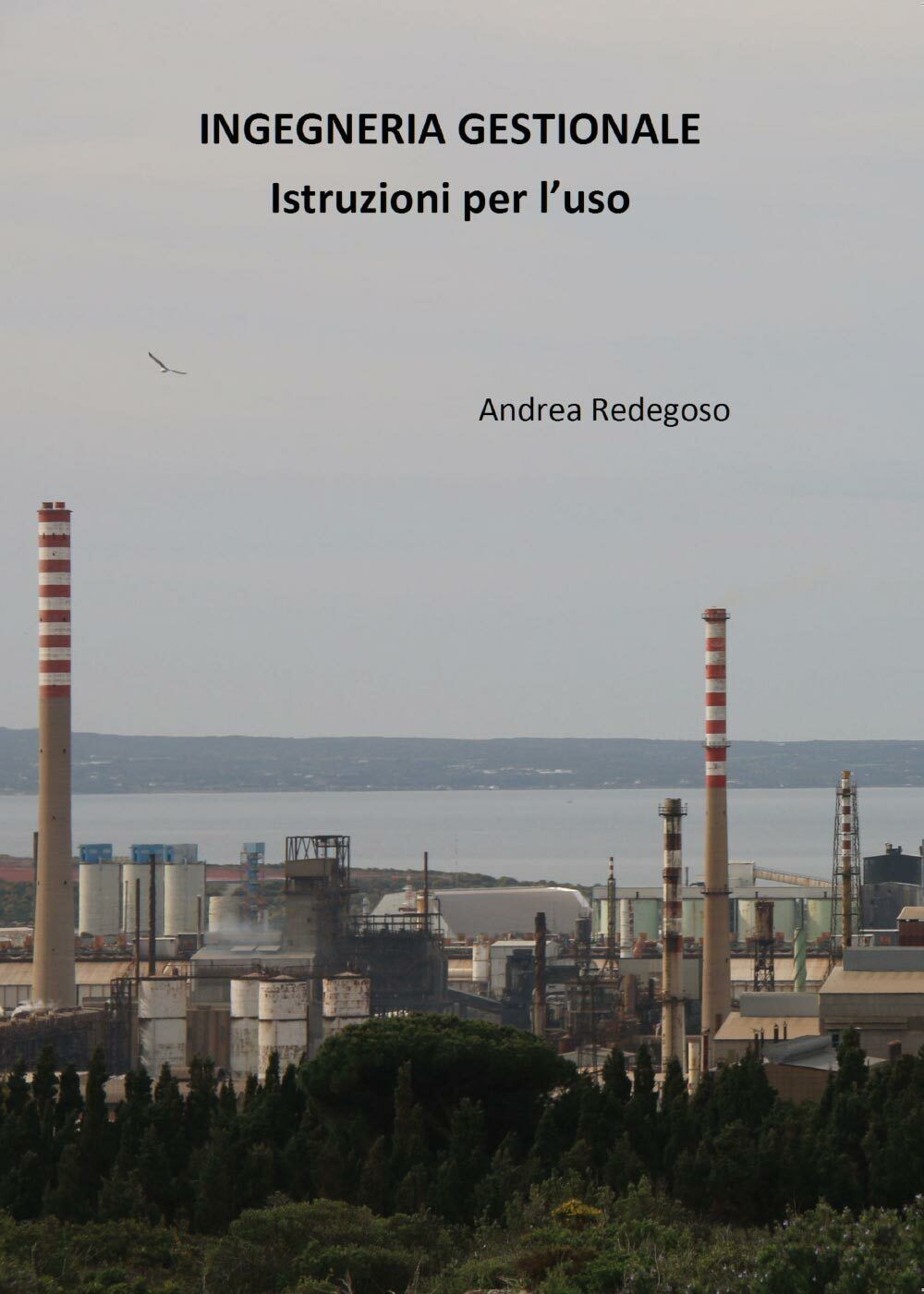Ingegneria gestionale - istruzioni per L'uso, di Andrea Giovanni Redegoso,  2017