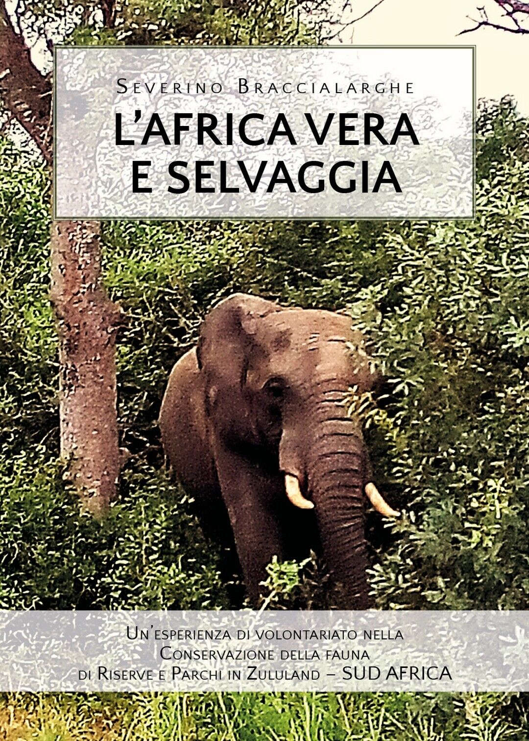 L'Africa vera e selvaggia  di Severino Braccialarghe,  2019,  Youcanprint