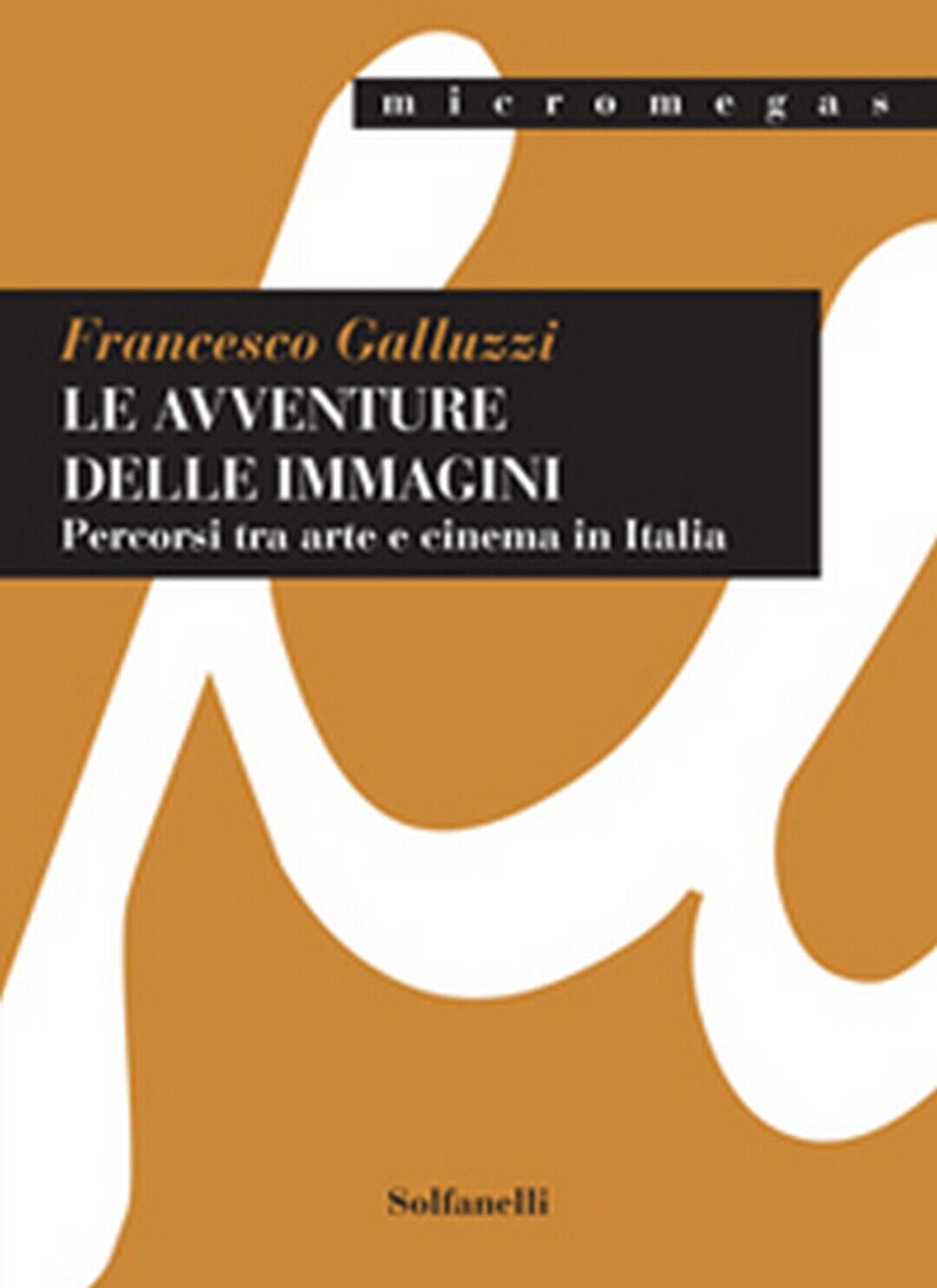 LE AVVENTURE DELLE IMMAGINI Percorsi tra arte e cinema in Italia (F. Galluzzi)