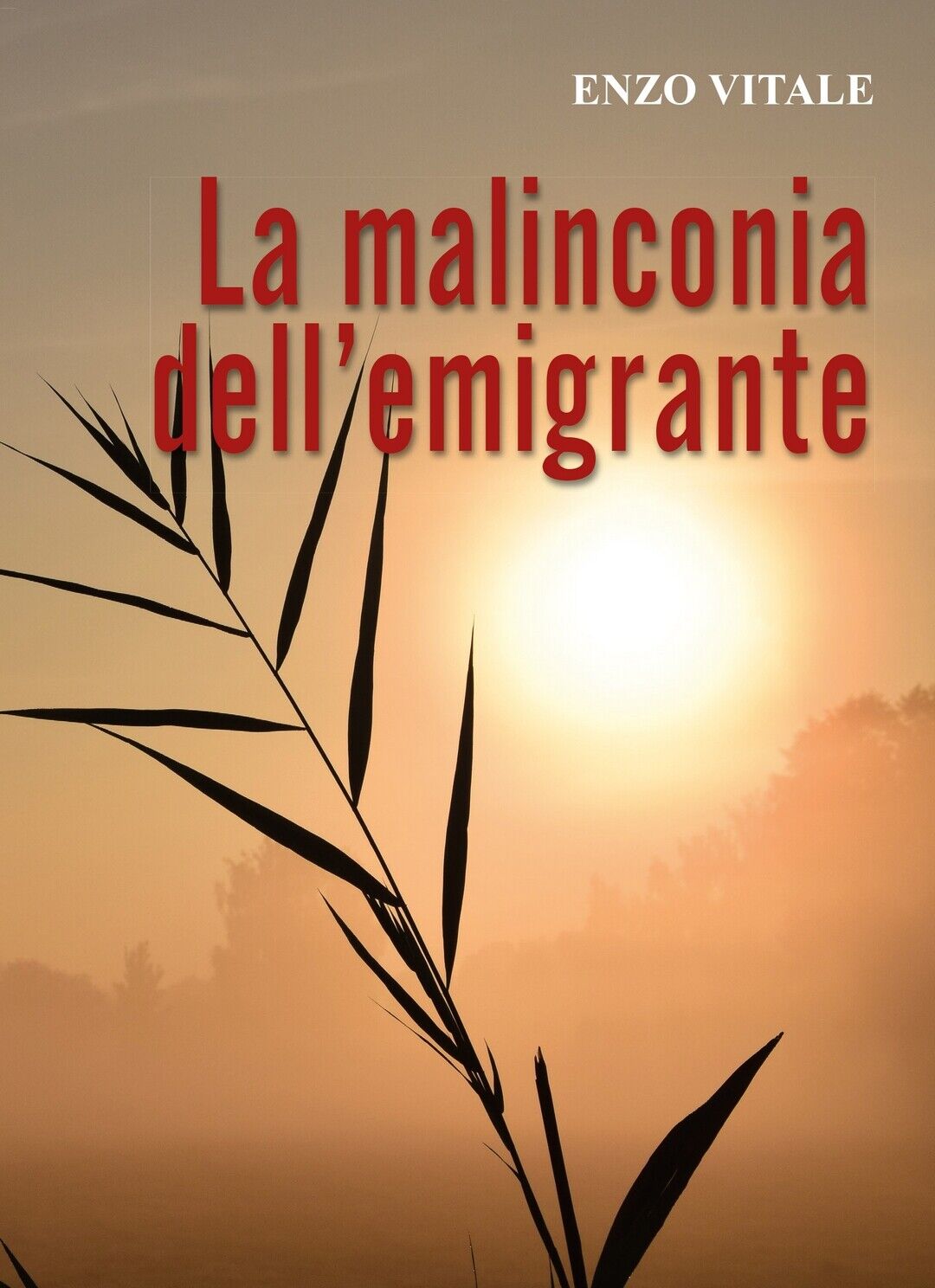 La Malinconia delL'emigrante  di Enzo Vitale,  2019,  Youcanprint