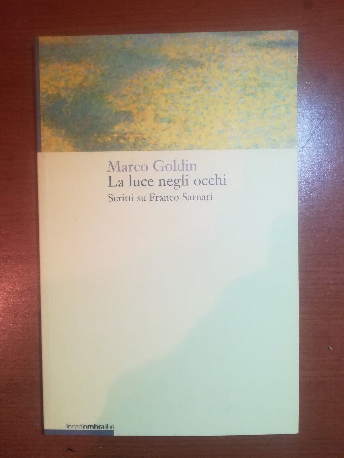 La luce negli occhi - Marco Goldin - Linea d'ombra - 2003 - M