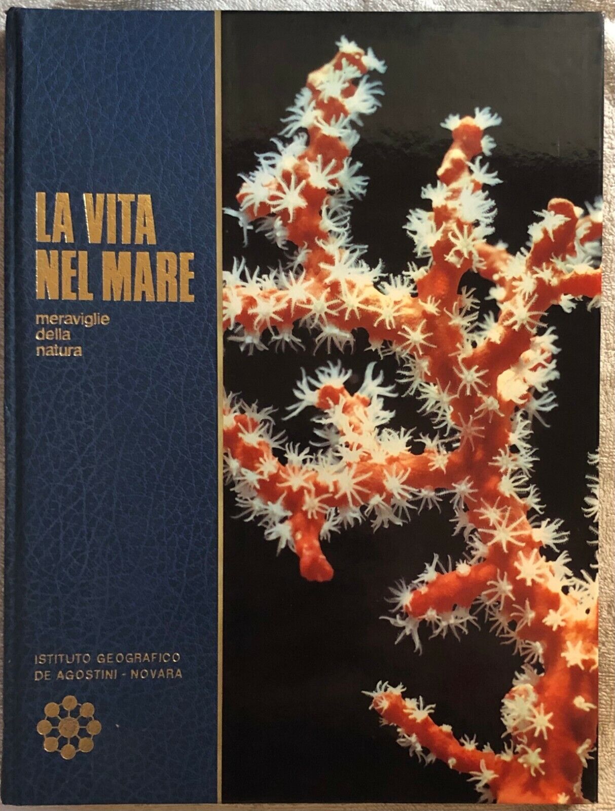 La vita nel mare di Menico Torchio,  1972,  Istituto Geografico Deagostini
