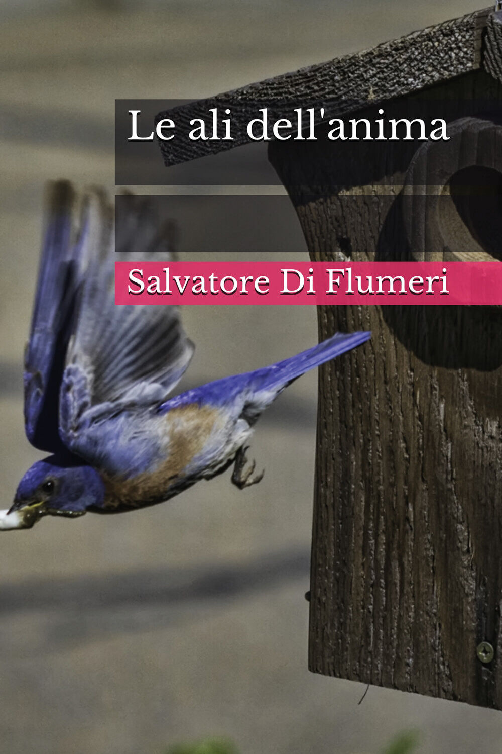 Le ali delL'anima di Salvatore Di Flumeri,  2020,  Youcanprint