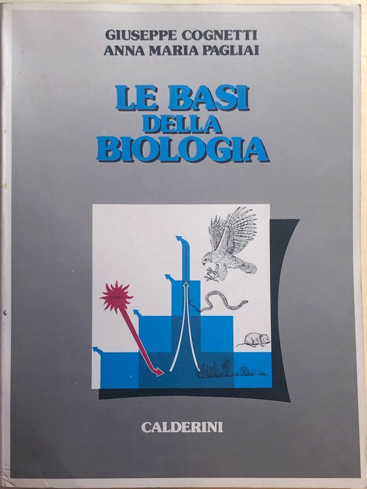 Le basi della biologia di Aa.vv., 1985, Calderini