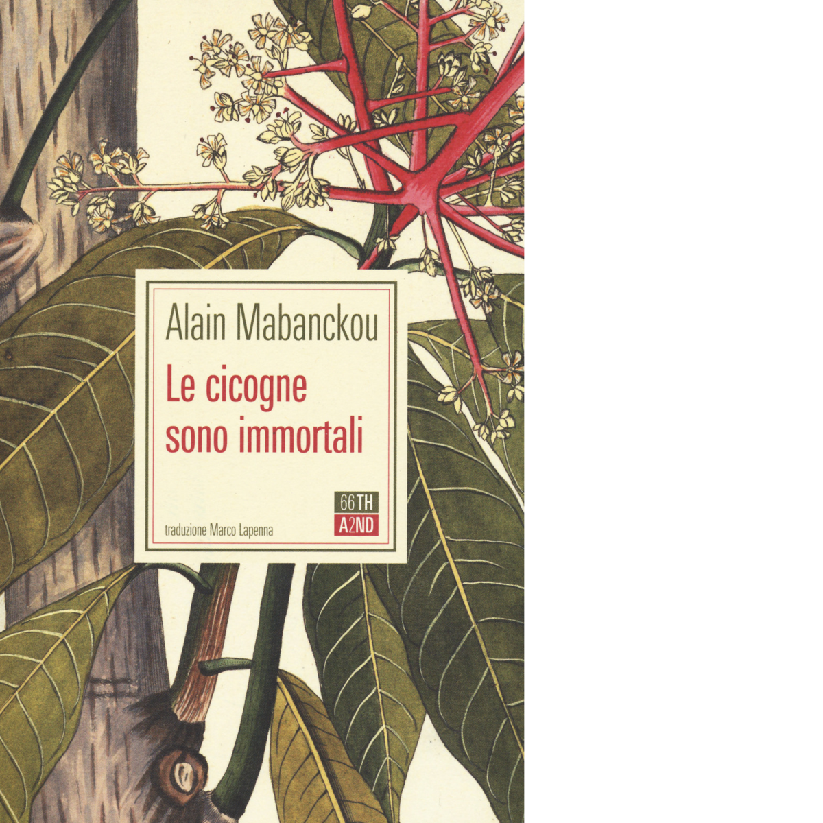 Le cicogne sono immortali di Alain Mabanckou,  2020,  66th And 2nd