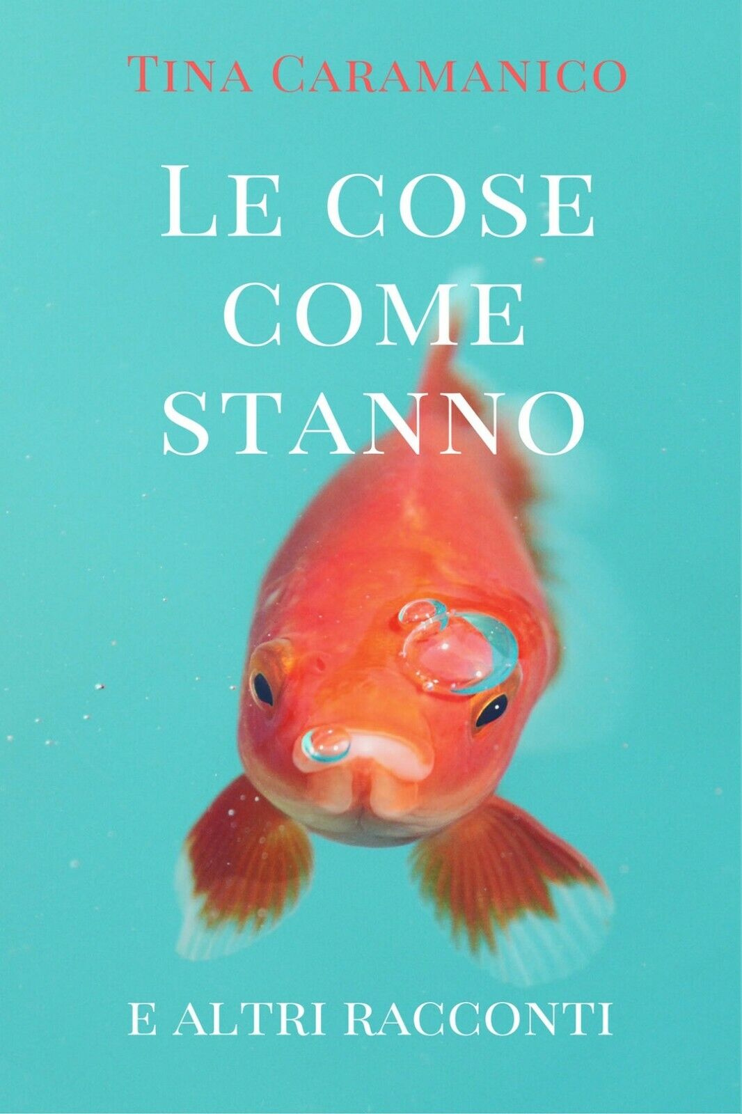 Le cose come stanno e altri racconti  di Tina Caramanico,  2016,  Youcanprint