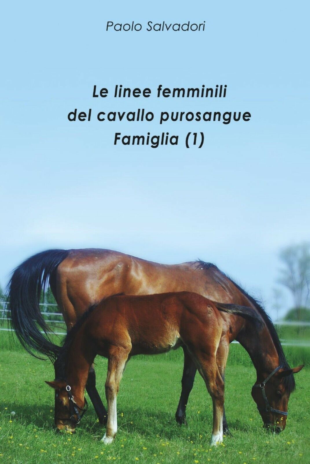 Le linee femminili del cavallo purosangue. Famiglia (1) di Paolo Salvadori,  201