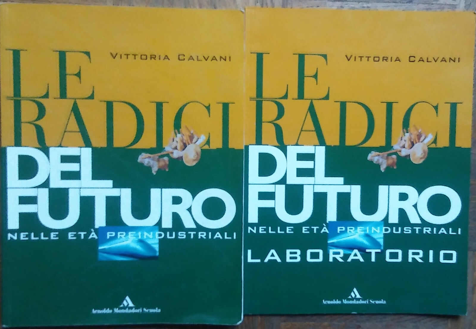 Le radici del futuro - Vittorio Calvani - Arnoldo Mondadori Scuola,2008 - R