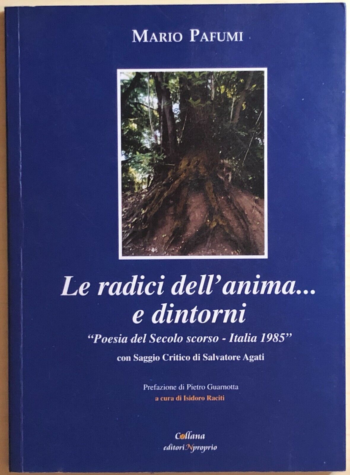 Le radici dell'anima... e dintorni di Mario Pafumi, 2004, Editorinproprio