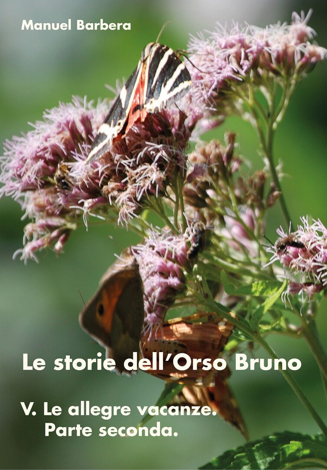 Le storie delL'Orso Bruno - 5  di Manuel Barbera,  2017,  Youcanprint