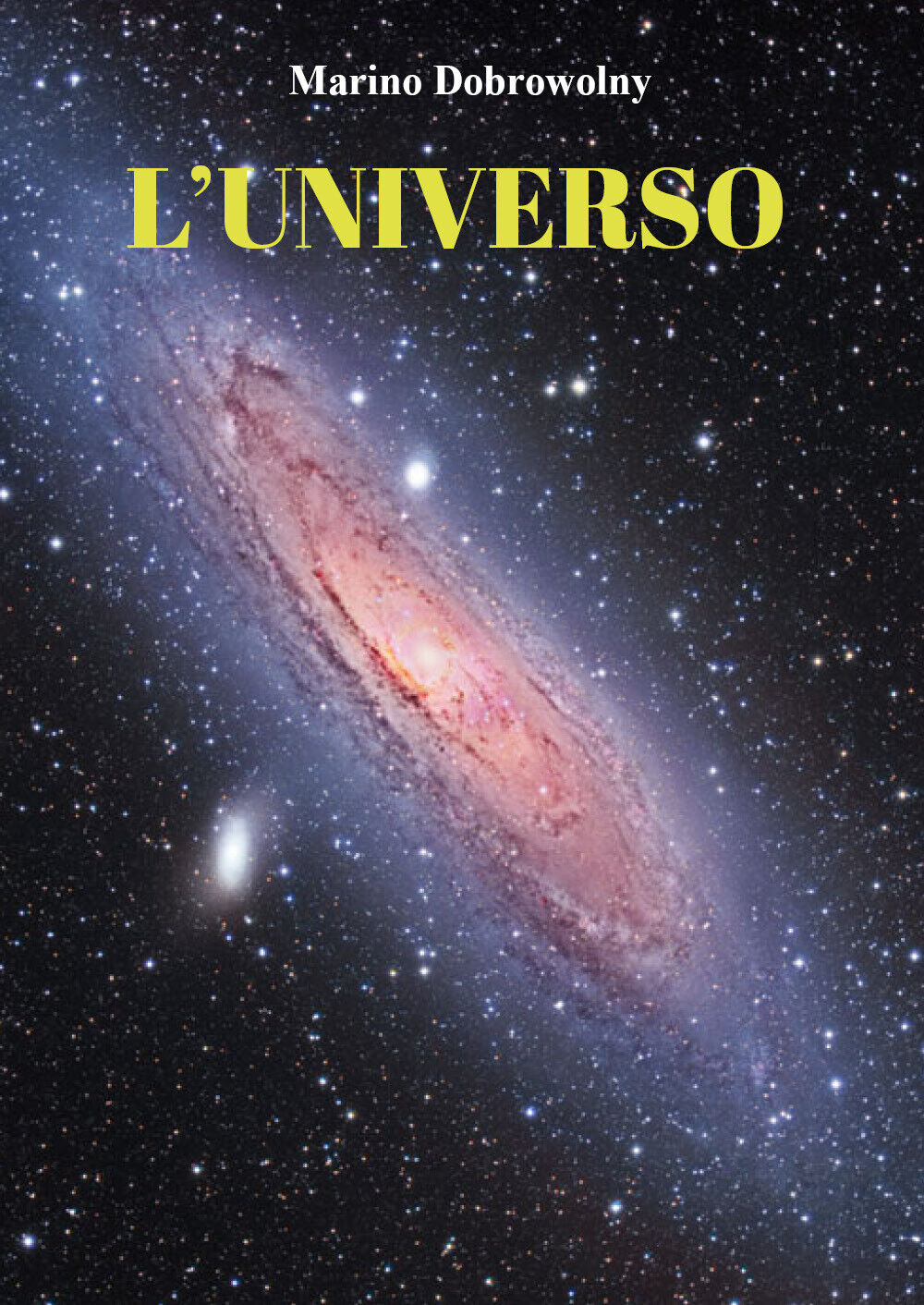 L'universo di Marino Dobrowolny,  2021,  Youcanprint