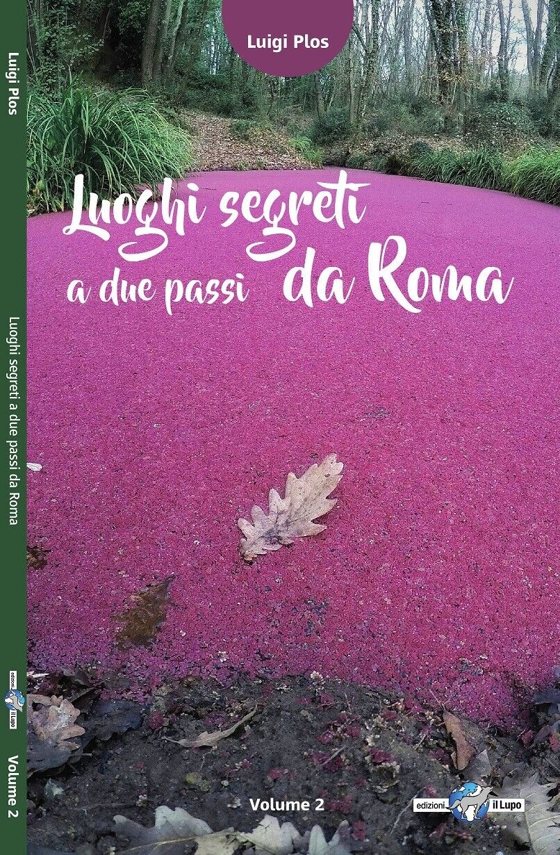 Luoghi segreti a due passi da Roma ? Vol. 2 di Luigi Plos, 2018, Edizioni Il 