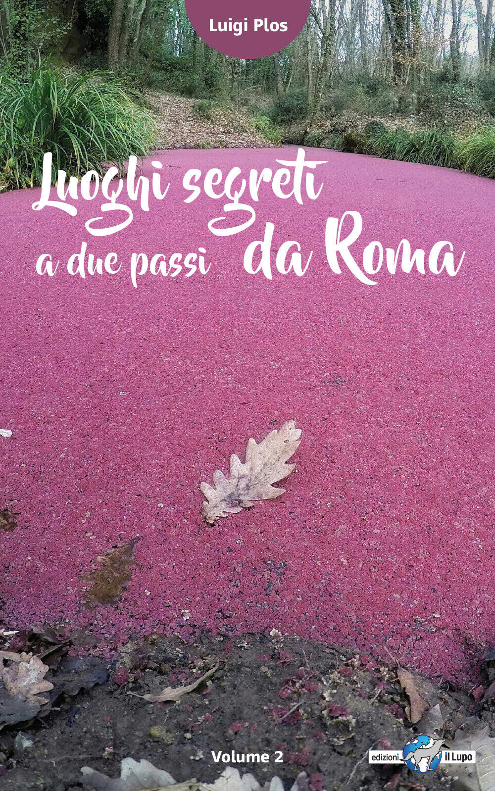 Luoghi segreti a due passi da Roma - Volume 2 - Luigi Plos, G. Gandini,  2017,  