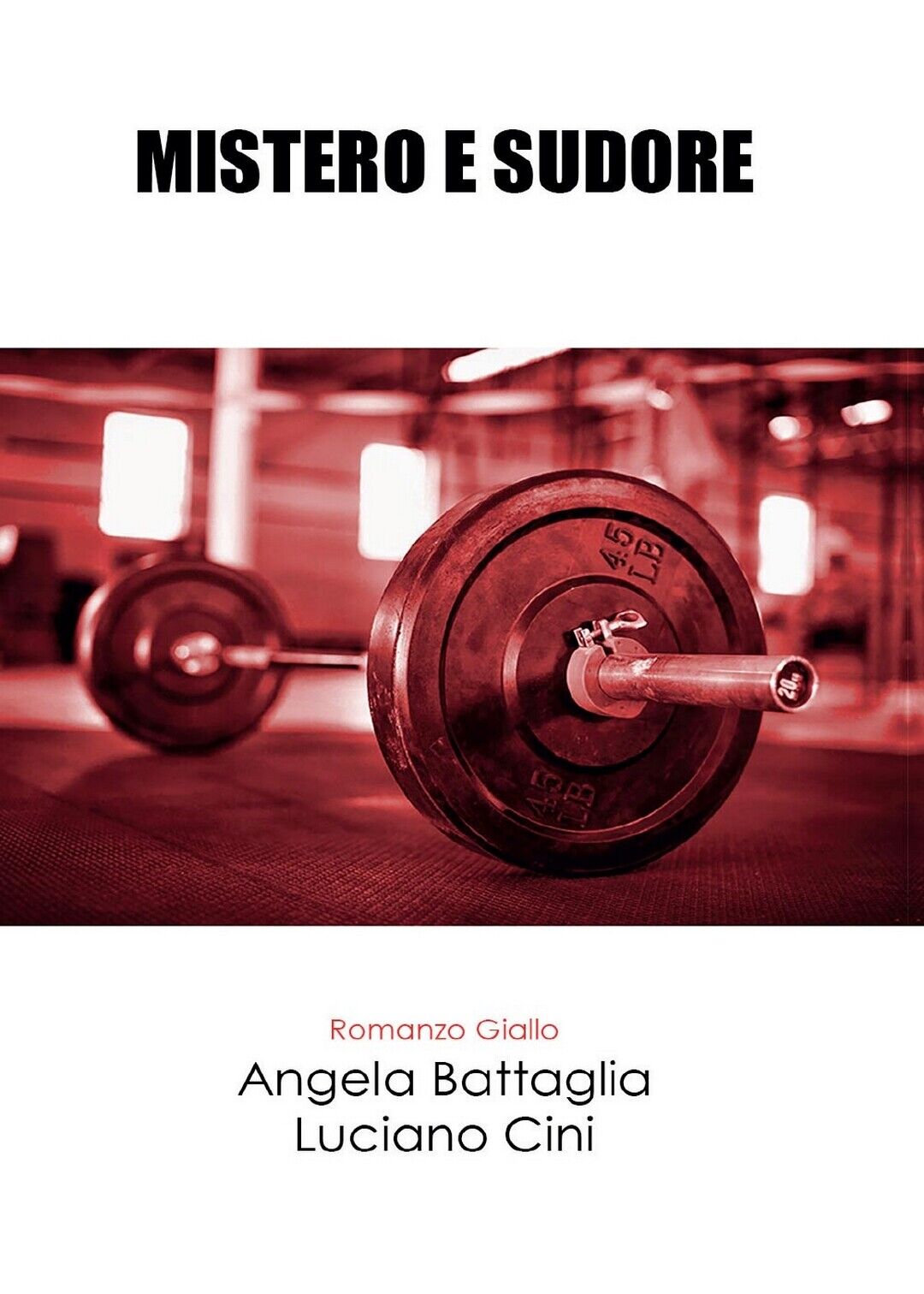 Mistero e Sudore  di Angela Battaglia, Luciano Cini,  2017,  Youcanprint