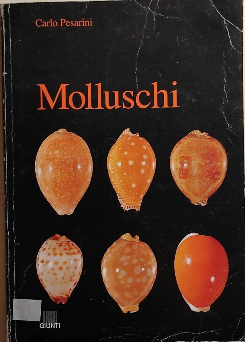 Molluschi di Carlo Pesarini, 1991, Giunti