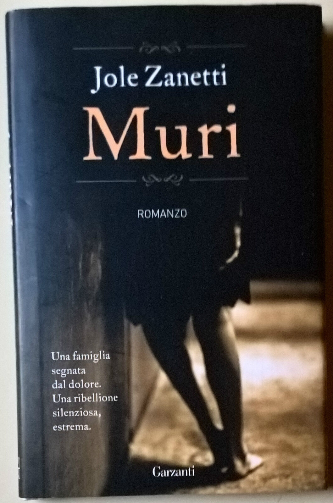 Muri - Jole Zanetti - 2012, Garzanti - L 