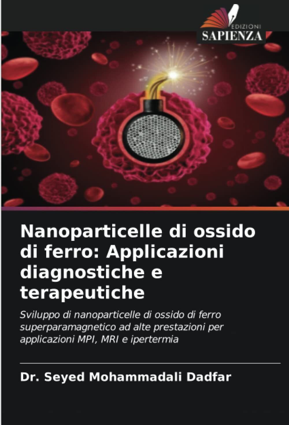 Nanoparticelle di ossido di ferro - Seyed Mohammadali Dadfar - Sapienza, 2022