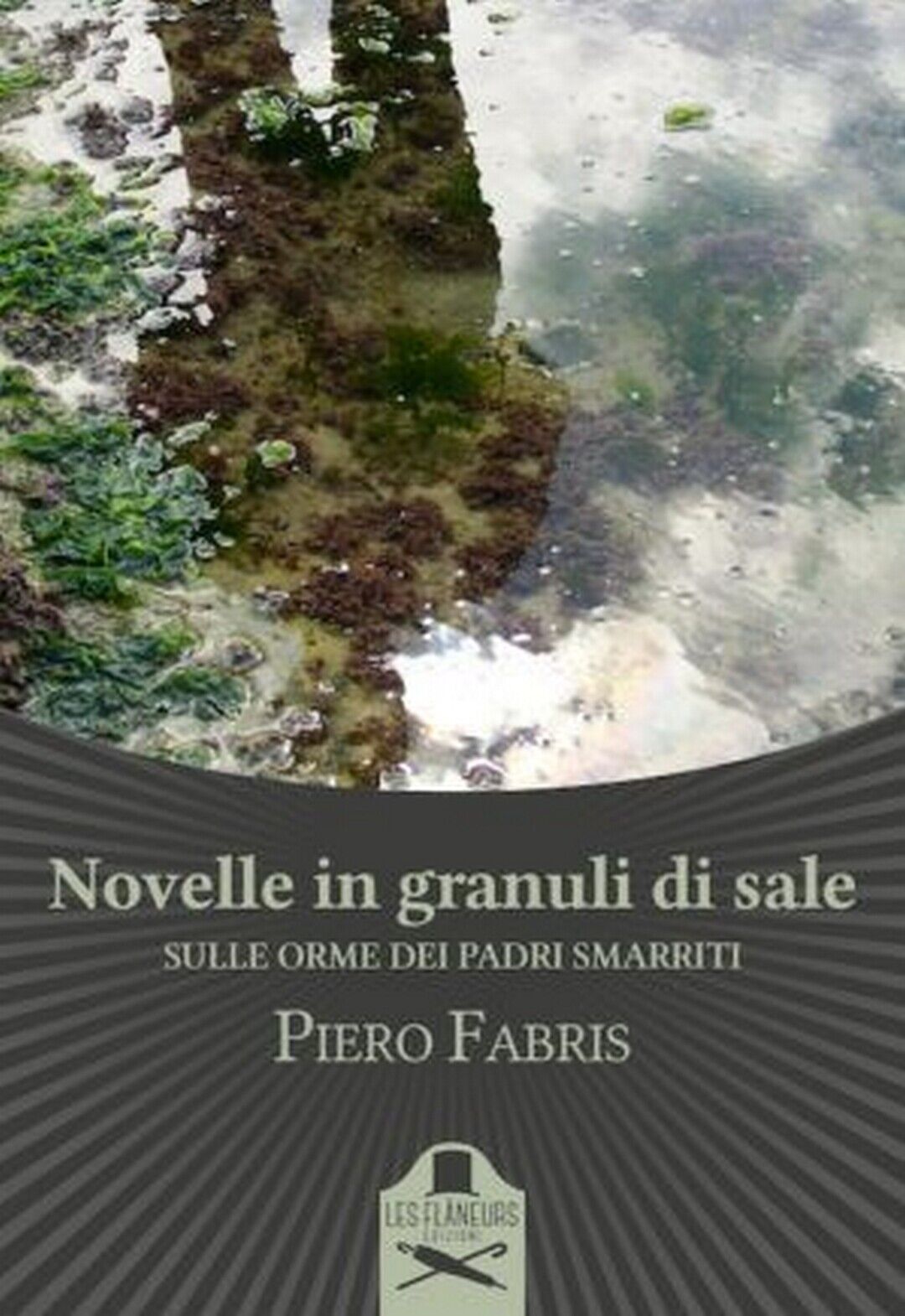 Novelle in granuli di sale  di Piero Fabris ,  Flaneurs
