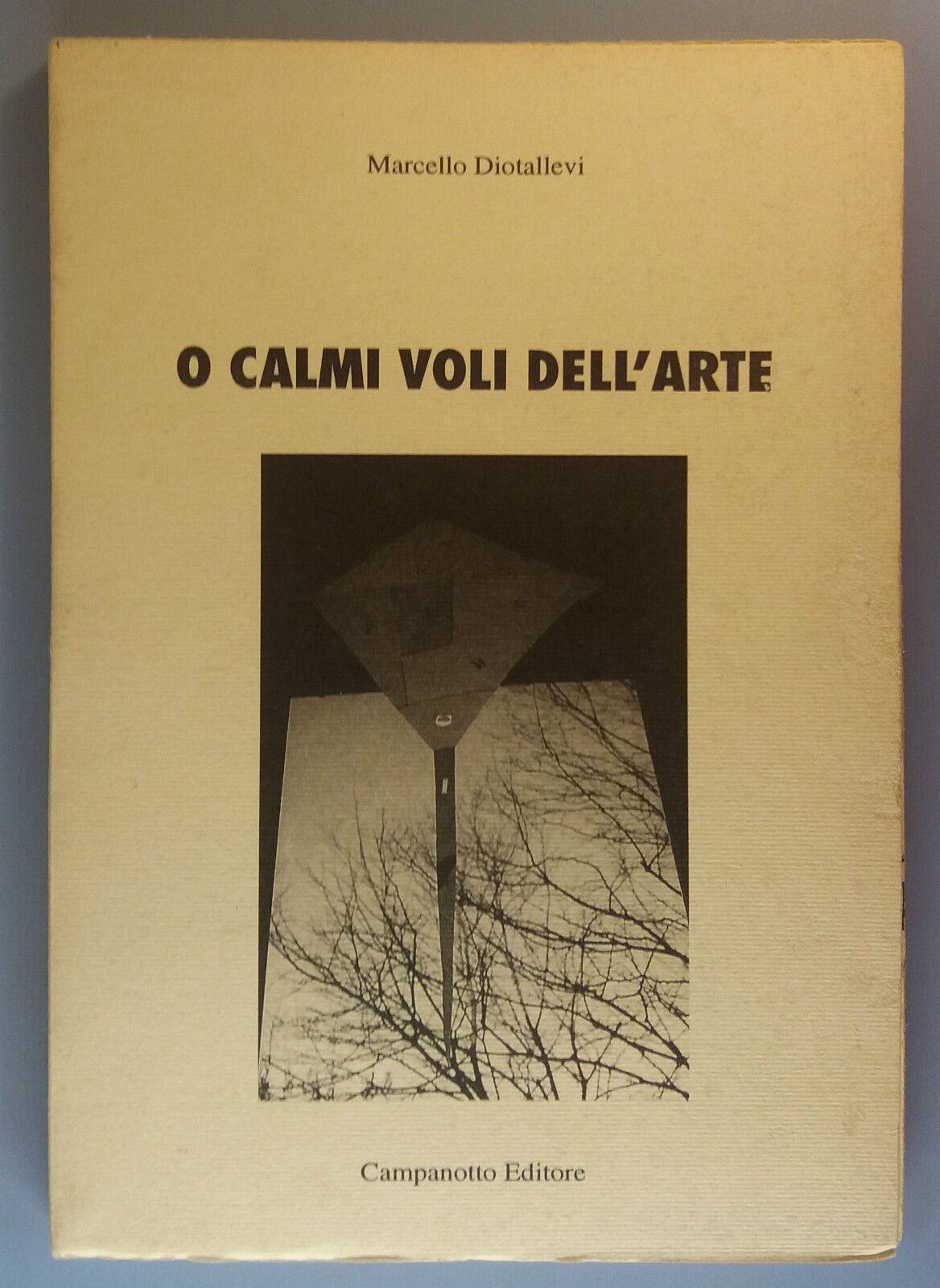 O calmi voli dell'arte - Marcello Diotallevi - Campanotto Editore - 2001 - G