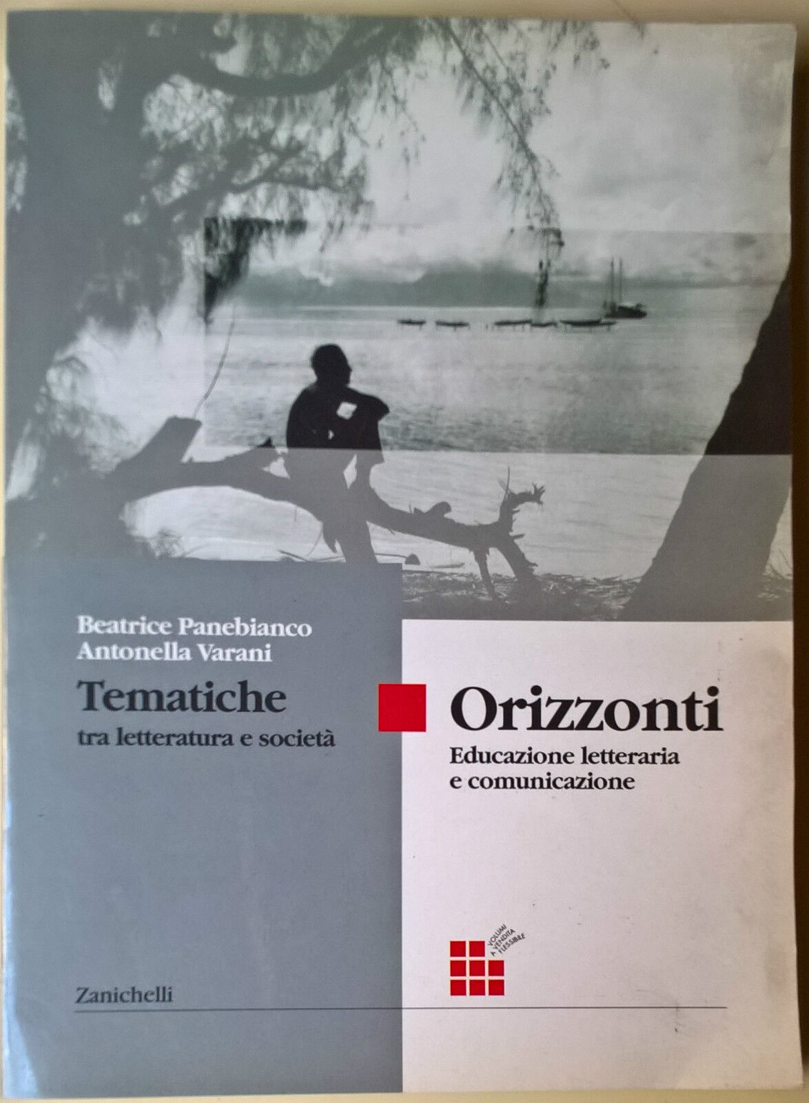Orizzonti Tematiche tra letteratura e societ? - Panebianco - Zanichelli, 2000 -L