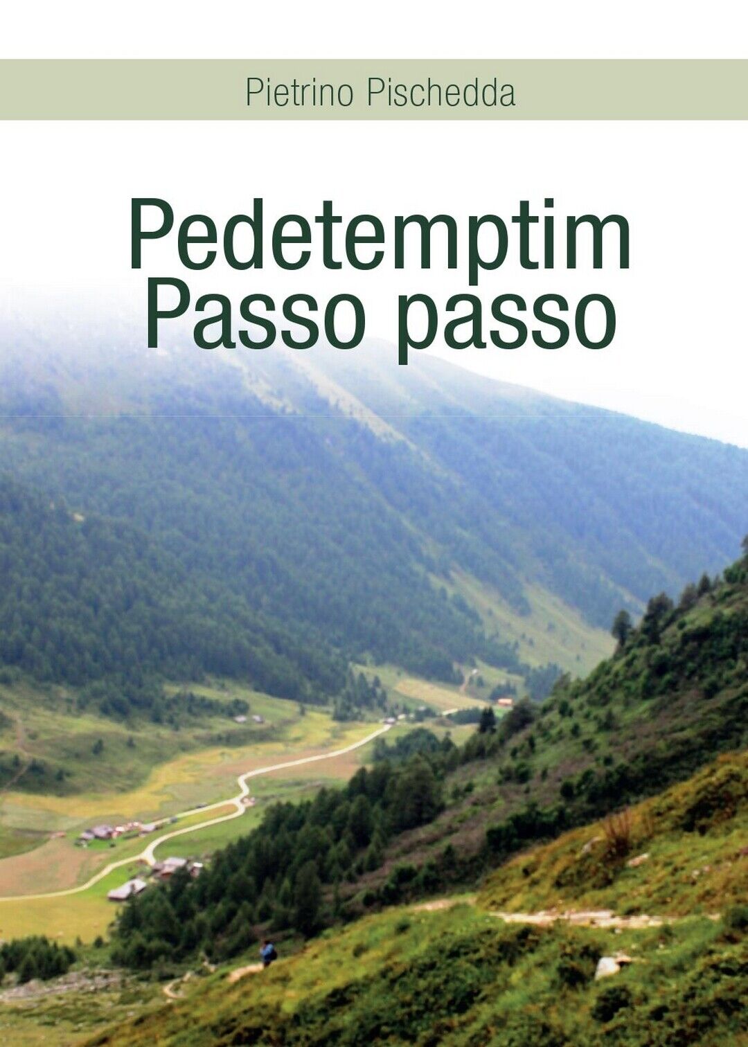 Pedetemptim - Passo passo  di Pietrino Pischedda,  2016,  Youcanprint