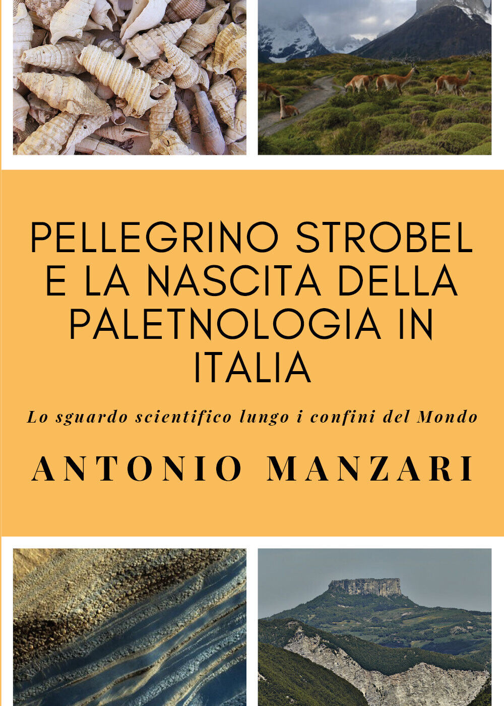 Pellegrino Strobel e la nascita della paletnologia in Italia. Lo sguardo scienti