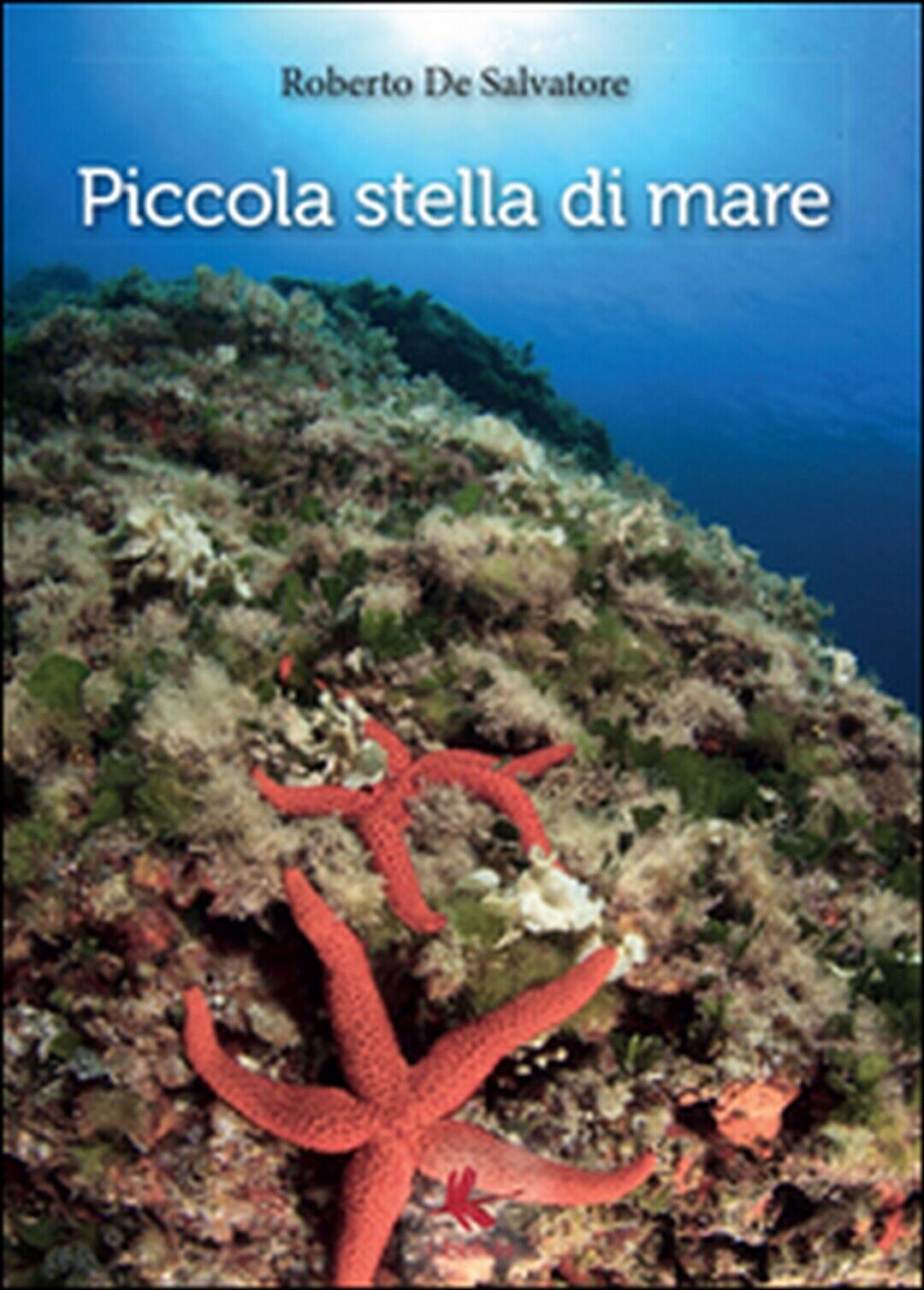 Piccola stella di mare  di Roberto De Salvatore,  2014,  Libellula Edizioni