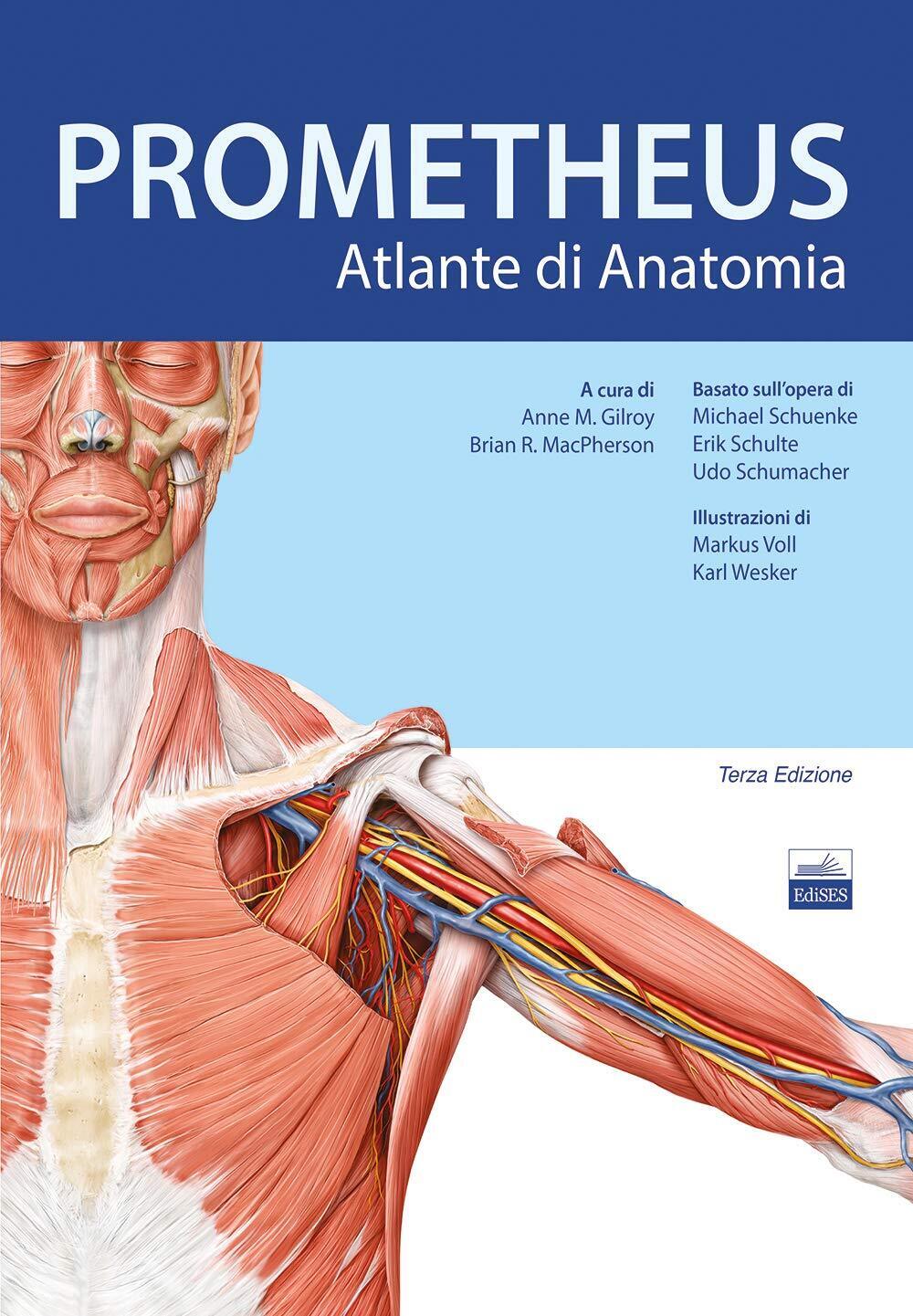 Prometheus. Altante di anatomia -  Anne M. Gilroy - Edises, 2019