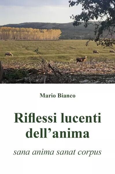  Riflessi lucenti delL'anima (sana anima sanat corpus) di Mario Bianco, 2023, 