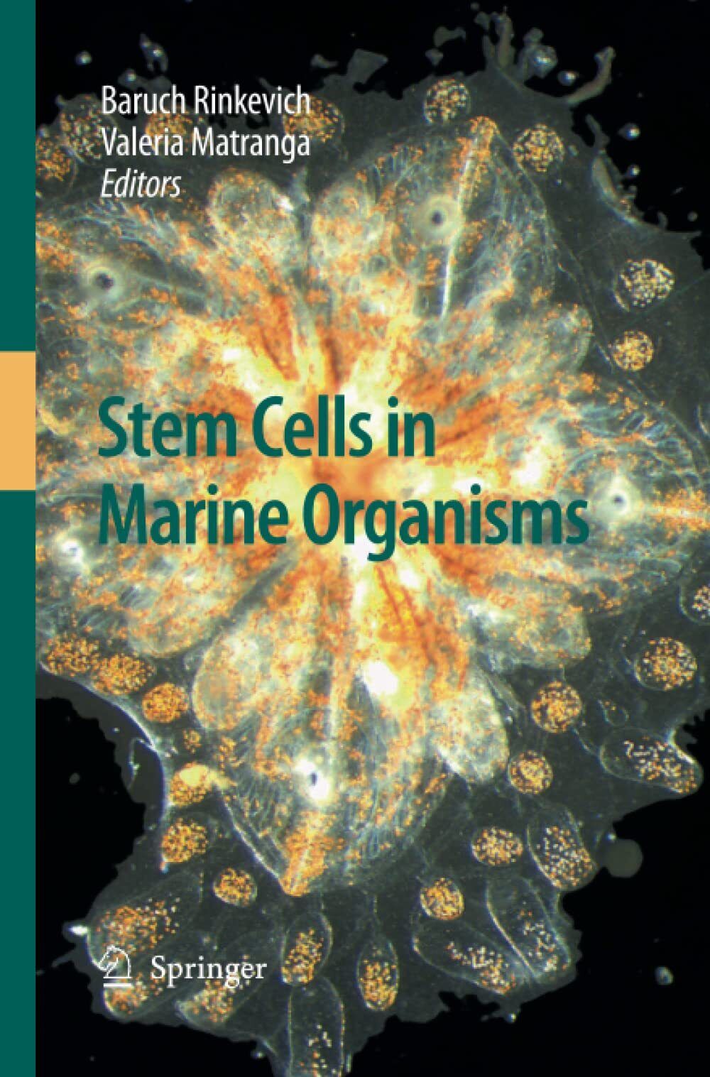 Stem Cells in Marine Organisms - Baruch Rinkevich - Springer, 2014