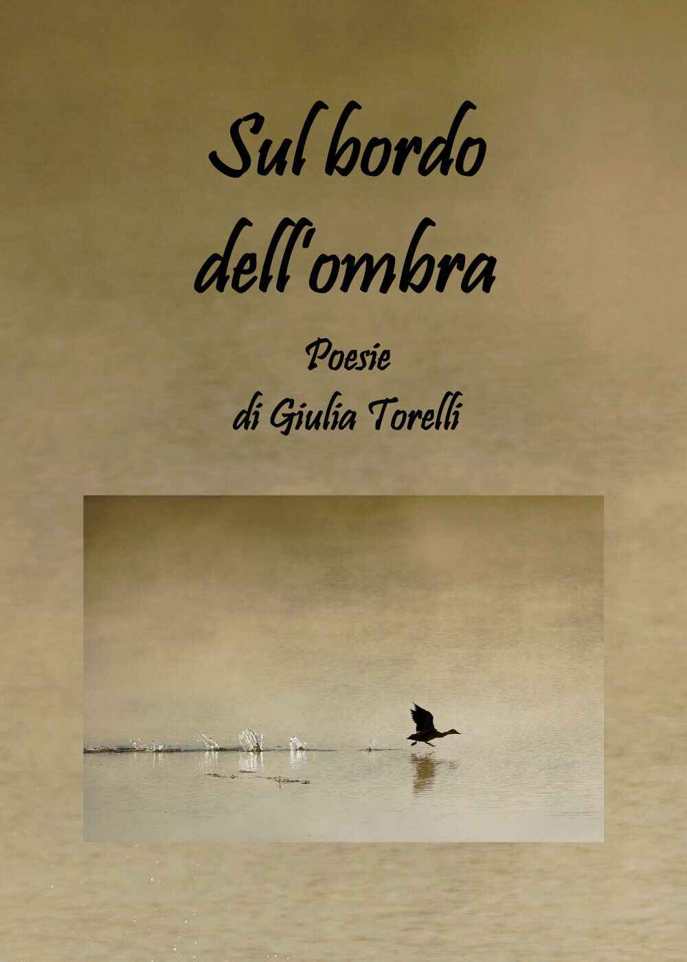 Sul bordo delL'ombra di Giulia Torelli,  2020,  Youcanprint