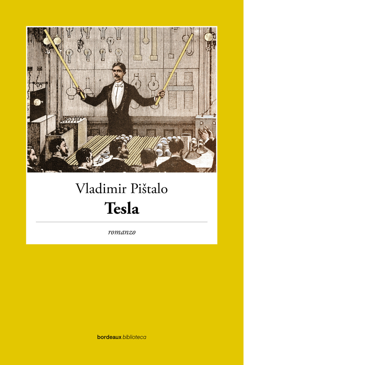 Tesla di Vladimir Pistalo,  2022,  Bordeaux