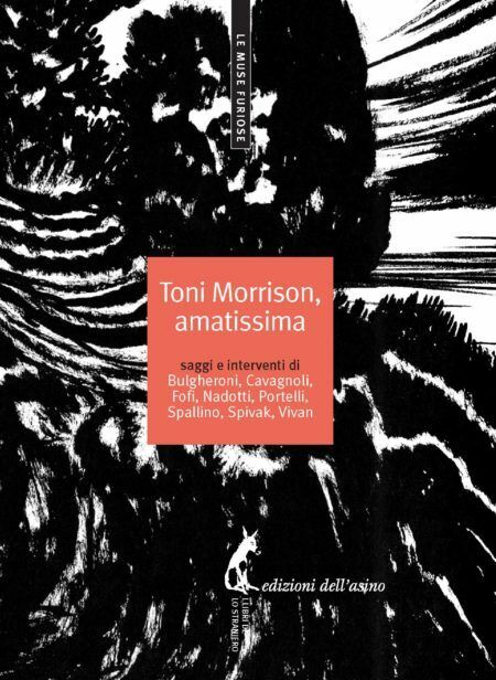 Toni Morrison, amatissima. Saggi e interventi di Marisa Bulgheroni,  2014,  Ediz