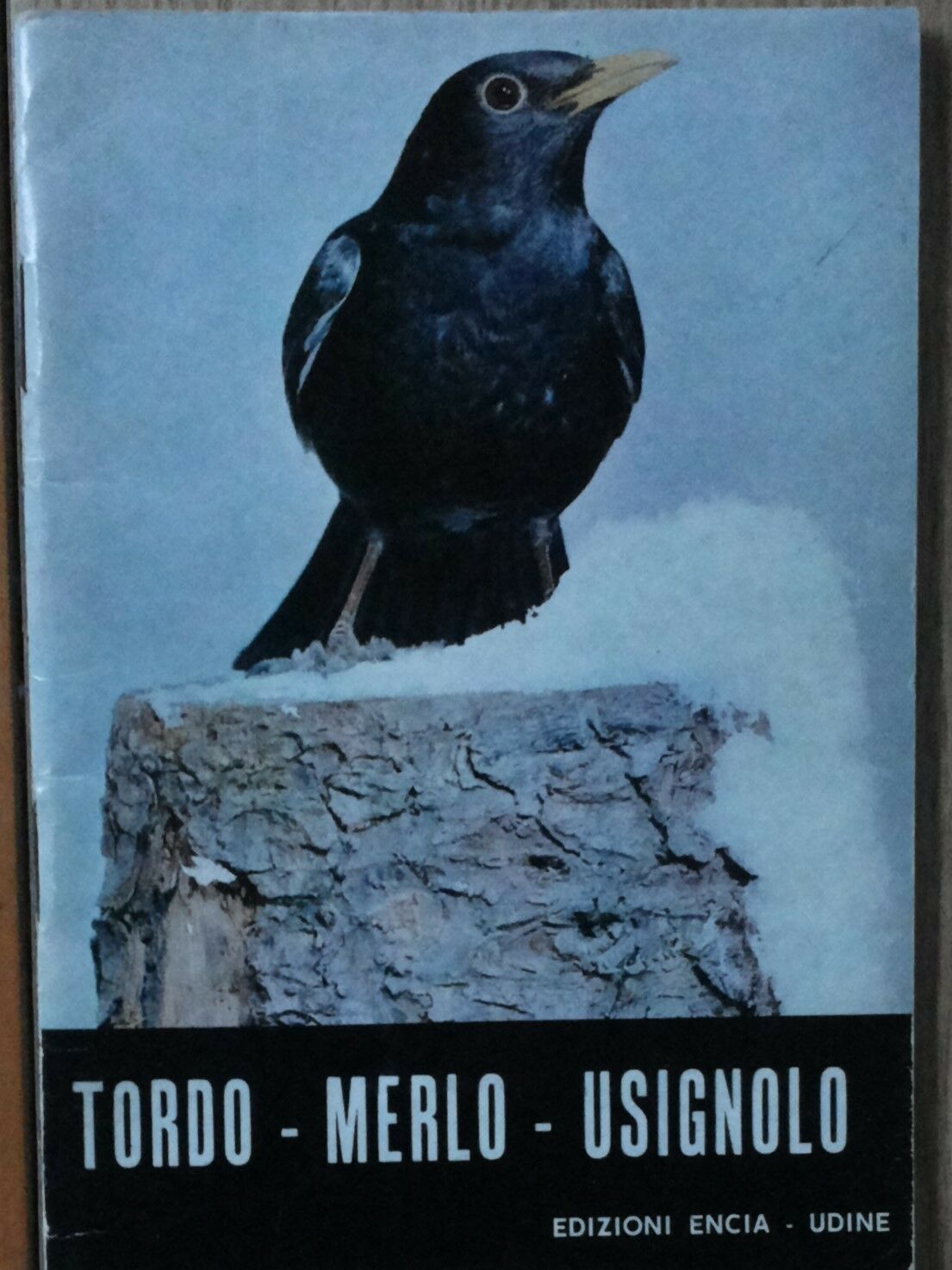 Tordo Merlo Usignolo - AA.VV. - Edizioni Encia - R