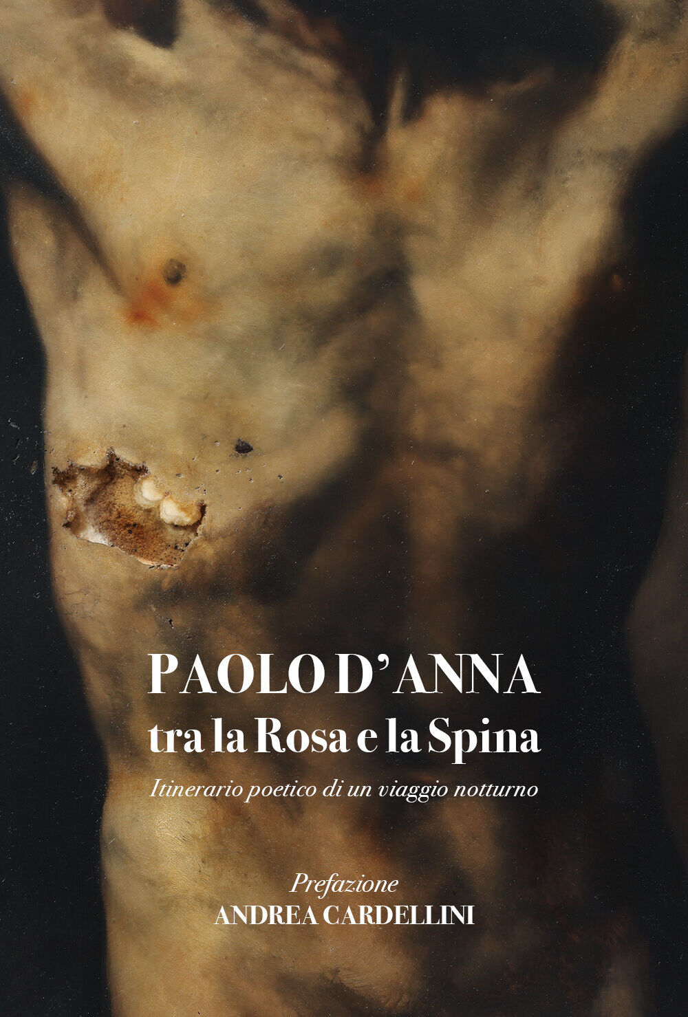 Tra la Rosa e la Spina itinerario poetico di un viaggio notturno di Paolo d'Anna