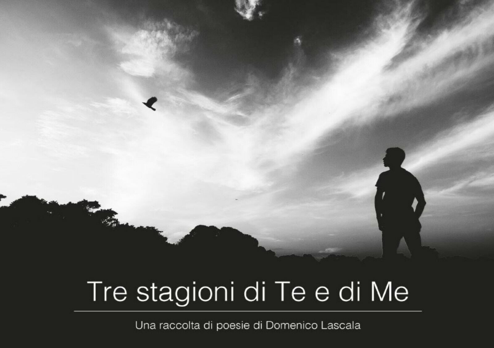Tre stagioni di te e di me di Domenico Lascala,  2017,  Youcanprint