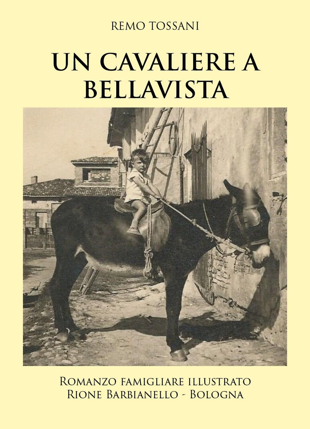 Un Cavaliere a Bellavista  di Remo Tossani,  2019,  Youcanprint