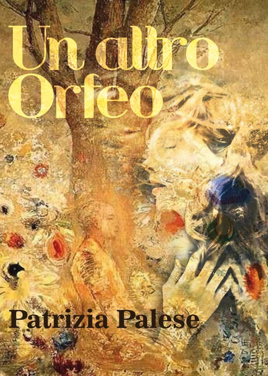 Un altro Orfeo  di Patrizia Palese,  2017,  Youcanprint