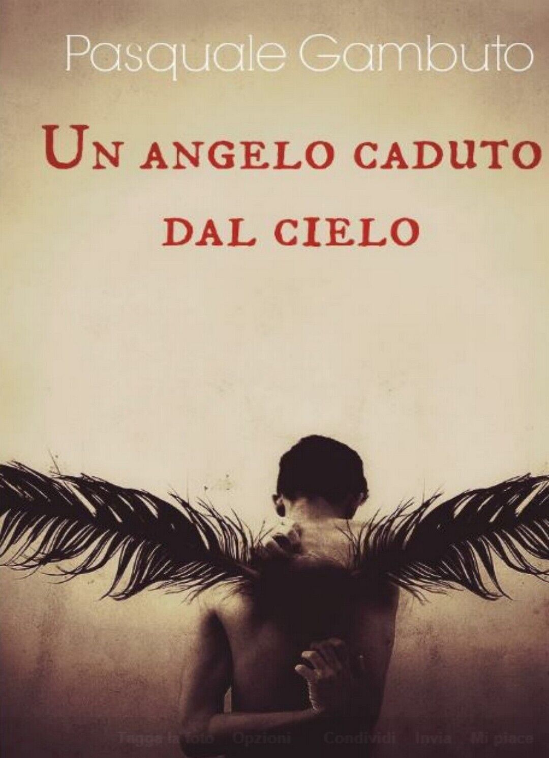 Un angelo caduto dal cielo  di Pasquale Gambuto,  2015,  Youcanprint