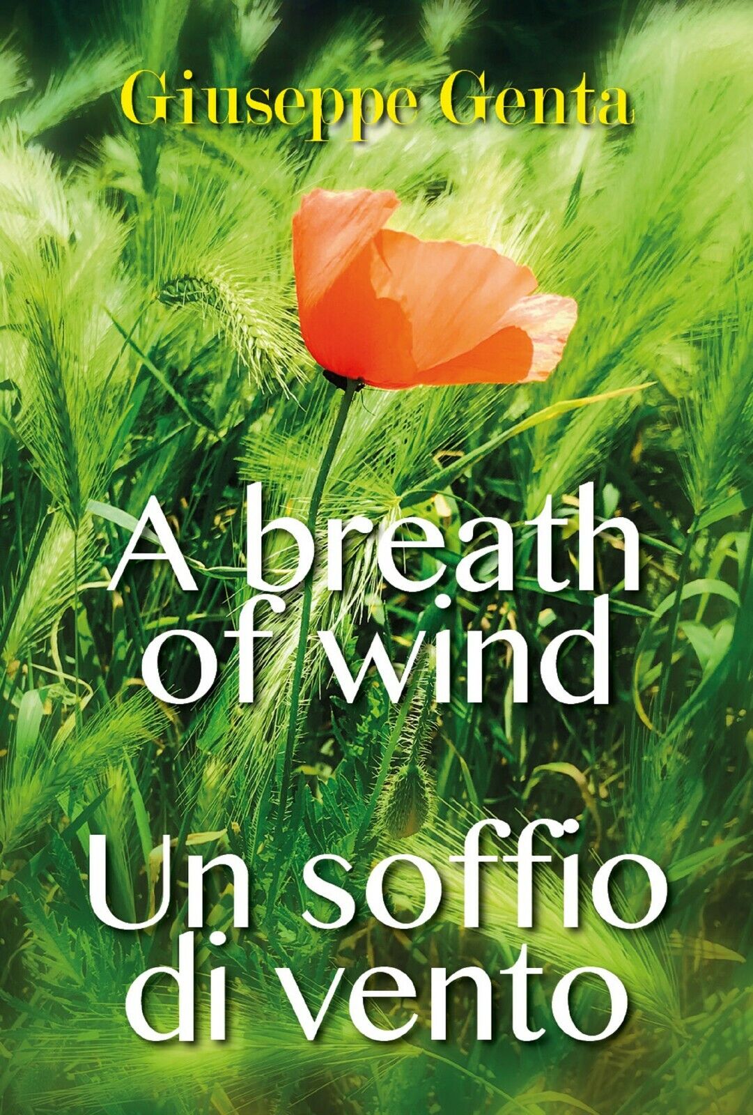 Un soffio di vento. A breath of wind di Giuseppe Genta,  2018,  Youcanprint