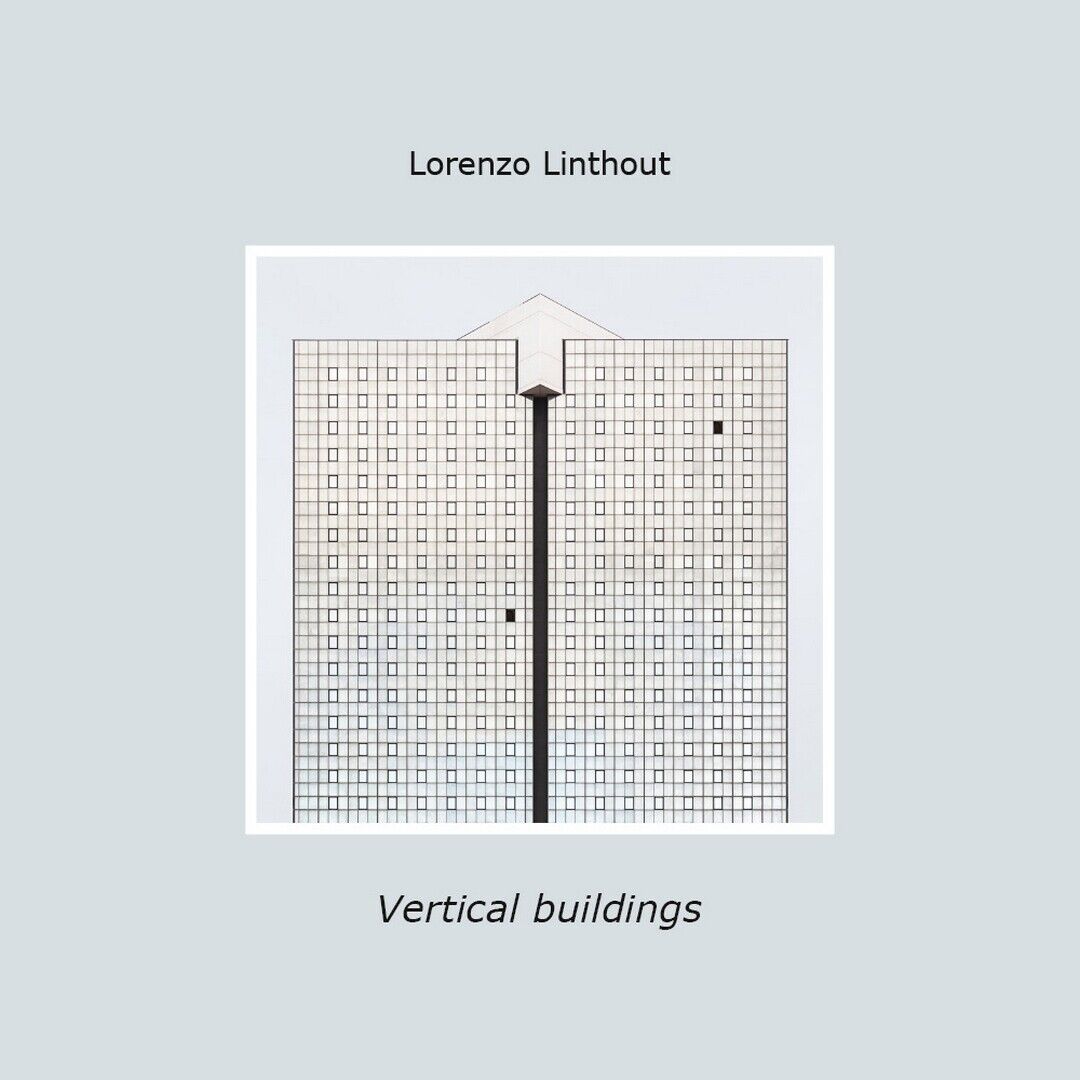 Vertical buildings  di Lorenzo Linthout,  2020,  Youcanprint