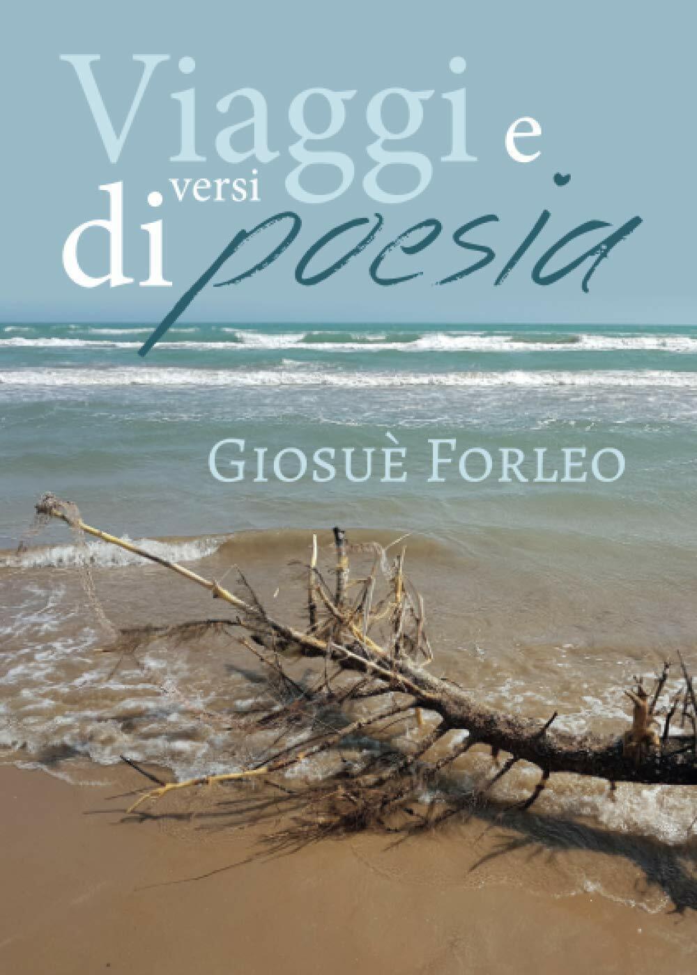 Viaggi e versi di poesia di Giosu? Forleo,  2019,  Youcanprint