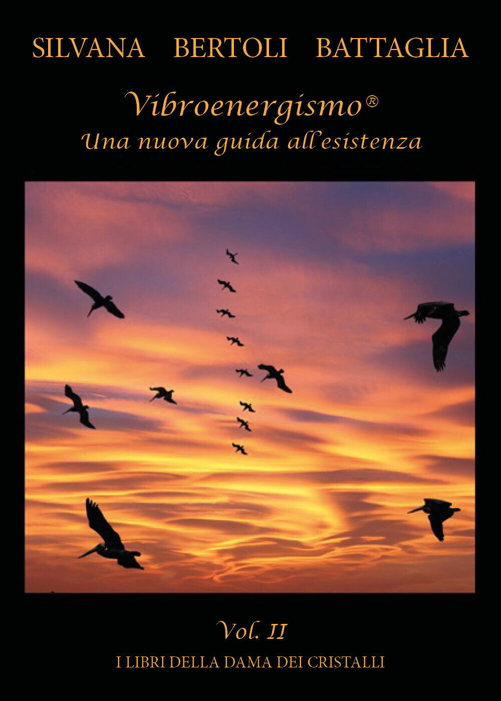 Vibroenergismo. Una nuova guida alL'esistenza vol.2 di Silvana Bertoli Battaglia