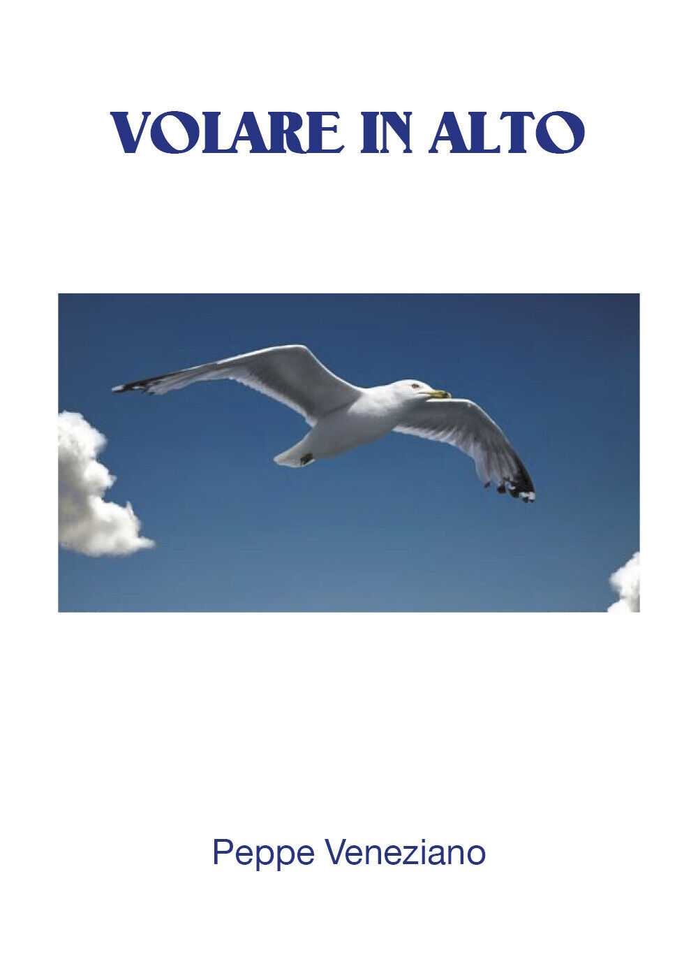 Volare in alto . di Peppe Veneziano,  2017,  Youcanprint  - ER
