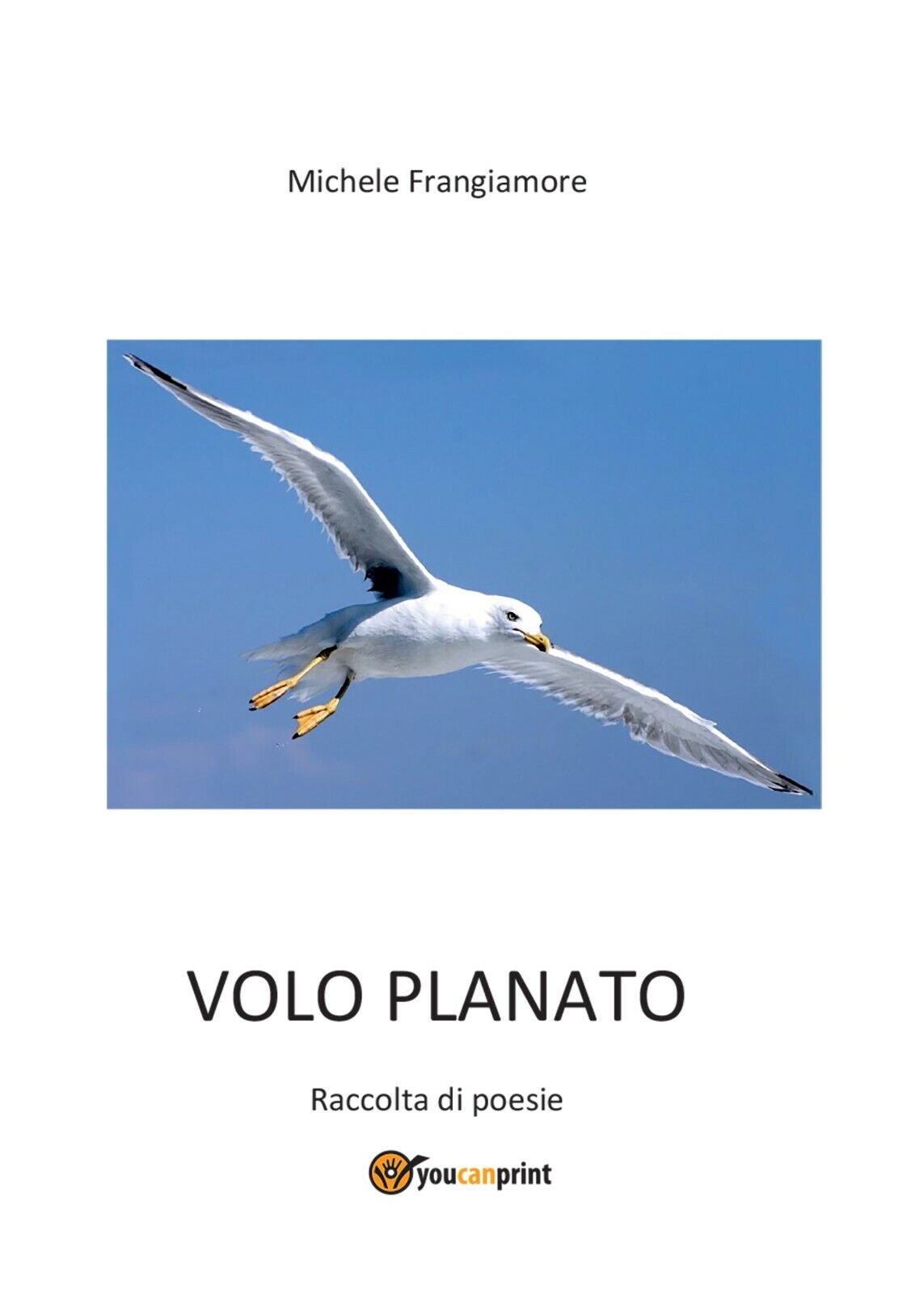 Volo planato di Michele Frangiamore,  2016,  Youcanprint