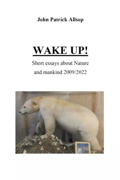 Wake up! di John Patrick Allsop, 2023, Youcanprint